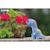 Puzzle 3d - bronto Blue 6 - vertbaudet enfant 