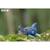 Puzzle 3d - mosasaurus Blue 3 - vertbaudet enfant 