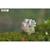 Puzzle 3d - triceratops Green 5 - vertbaudet enfant 