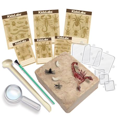 Kit d'excavation d'insectes - version fr Multicolor 2 - vertbaudet enfant 