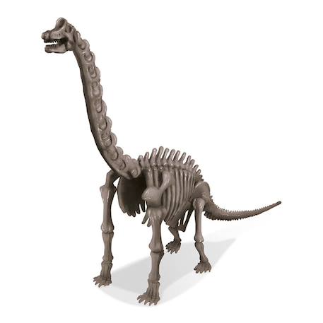Kit de fouille – Squelette de Brachiosaure à déterrer et assembler Multicolor 5 - vertbaudet enfant 