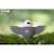 Puzzle 3d - aigle Brown 5 - vertbaudet enfant 