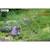 Puzzle 3d - ornithorynque Purple 5 - vertbaudet enfant 
