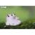 Puzzle 3d - ours polaire White 5 - vertbaudet enfant 