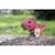 Puzzle 3d - tyranno Red 6 - vertbaudet enfant 