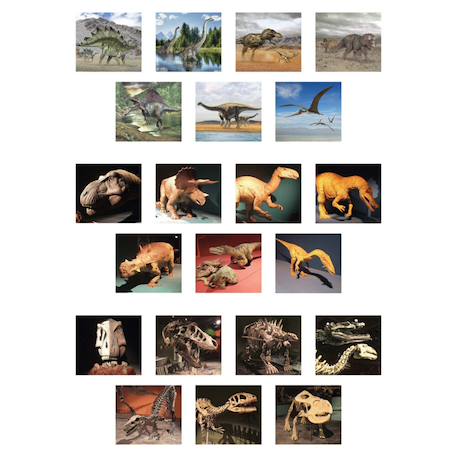 Viewer  3d - dinosaure Visionneur images 3D Multicolor 3 - vertbaudet enfant 