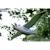 Puzzle 3d - albatros royal Black;white 6 - vertbaudet enfant 