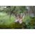 Puzzle 3d - raptor Brown 4 - vertbaudet enfant 