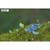 Puzzle 3d - tortue Blue 5 - vertbaudet enfant 