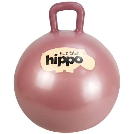 Ballon sauteur 45cm Blue+Gold+Orange+Pink 10 - vertbaudet enfant 