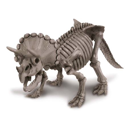 Kit de fouille – Squelette de Tricératops à découvrir Multicolor 5 - vertbaudet enfant 