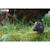 Puzzle 3d - elan Brown 5 - vertbaudet enfant 