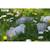Puzzle 3d - mouton White 5 - vertbaudet enfant 