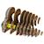 Puzzle 3d - ecureuil Brown 2 - vertbaudet enfant 