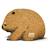 Puzzle 3d - wombat Brown 2 - vertbaudet enfant 