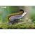 Puzzle 3d - oiseau lyre Multicolor 5 - vertbaudet enfant 