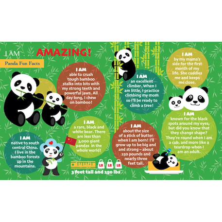 Puzzle I am - panda Multicolor 2 - vertbaudet enfant 