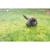 Puzzle 3d - elan Brown 6 - vertbaudet enfant 