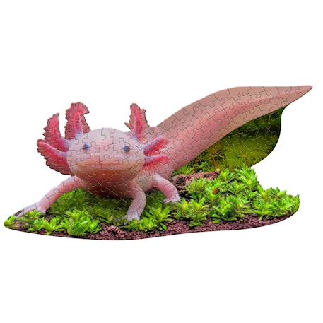 Puzzle I am lil' - axolotl Multicolor 1 - vertbaudet enfant 