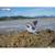 Puzzle 3d - léopard de mer Multicolor 4 - vertbaudet enfant 