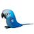 Puzzle 3d - ara de spix Blue 1 - vertbaudet enfant 