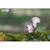 Puzzle 3d - ecureuil Brown 4 - vertbaudet enfant 