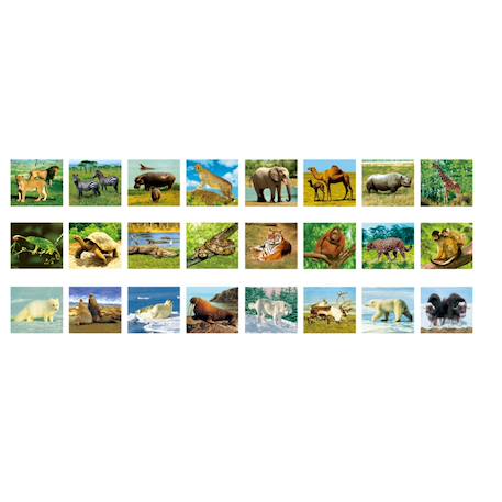 Picmax viewer - animaux sauvages visionneur d’images Multicolor 3 - vertbaudet enfant 