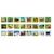 Picmax viewer - animaux sauvages visionneur d’images Multicolor 3 - vertbaudet enfant 