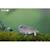 Puzzle 3d - tuatara Green 5 - vertbaudet enfant 