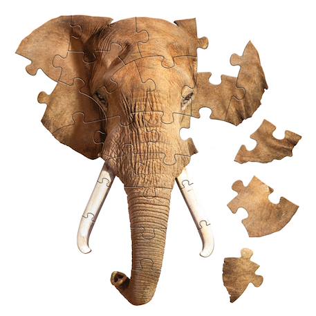 Puzzle I am - éléphant Multicolor 4 - vertbaudet enfant 