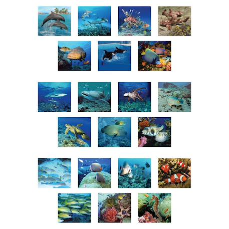 Viewer  3d - animaux marins visionneur d’images Multicolor 2 - vertbaudet enfant 