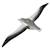 Puzzle 3d - albatros royal Black;white 4 - vertbaudet enfant 