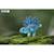 Puzzle 3d - stego Blue 5 - vertbaudet enfant 