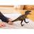 Dinosaurs tarbosaurus Vert 3 - vertbaudet enfant 