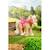 Baby born my cute horse-cheval en peluche interactive Beige et rose 3 - vertbaudet enfant 
