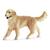 Chiene golden retriever Beige 2 - vertbaudet enfant 