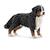 Figurine - bouvier bernois, femelle Noir 2 - vertbaudet enfant 