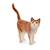 Farm world - chat Multicolore 2 - vertbaudet enfant 