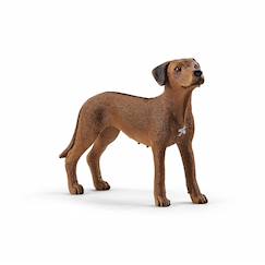 Jouet-Jeux d'imagination-Chien de rhodésie à crête dorsale