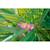 Lunettes de natation Aloha Rose 4 - vertbaudet enfant 