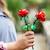 Lego botanicals - les roses - 40460 Multicolore 6 - vertbaudet enfant 
