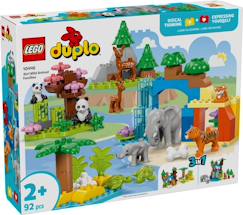 Jouet-Jeux d'imagination-Lego duplo - familles d'animaux sauvages 3-en-1 - 10446