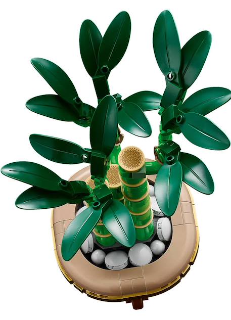 Lego botanicals - lego icons - le bambou de la chance - 10344 Multicolore 4 - vertbaudet enfant 