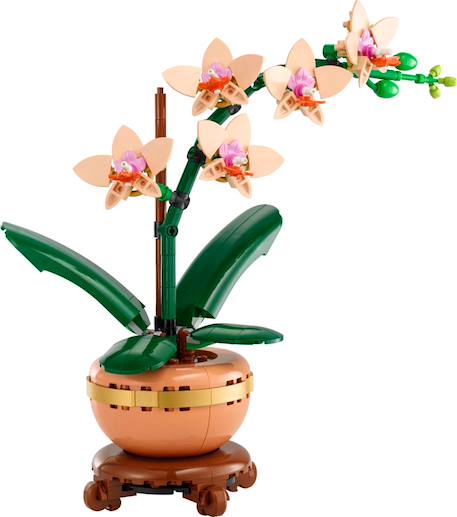 Lego botanicals - lego icons - l'orchidée miniature - 10343 Multicolore 3 - vertbaudet enfant 