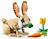 Lego creator - l'adorable lapin - 31162 Multicolore 4 - vertbaudet enfant 