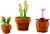 Lego botanicals - lego icons - les plantes miniatures - 10329 Multicolore 6 - vertbaudet enfant 