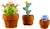 Lego botanicals - lego icons - les plantes miniatures - 10329 Multicolore 4 - vertbaudet enfant 