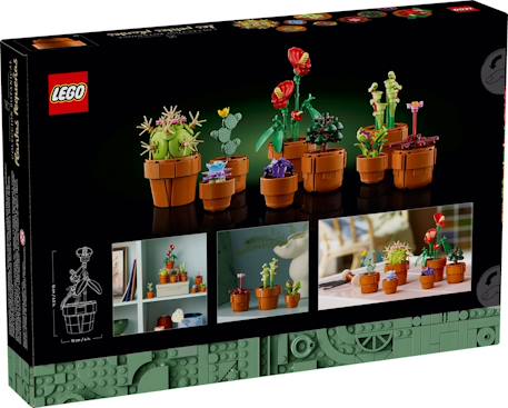 Lego botanicals - lego icons - les plantes miniatures - 10329 Multicolore 2 - vertbaudet enfant 