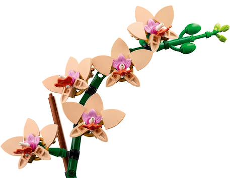 Lego botanicals - lego icons - l'orchidée miniature - 10343 Multicolore 5 - vertbaudet enfant 