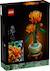 Lego botanicals - lego icons - le chrysanthème - 10368 Multicolore 2 - vertbaudet enfant 
